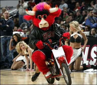 Bulls Mascot
